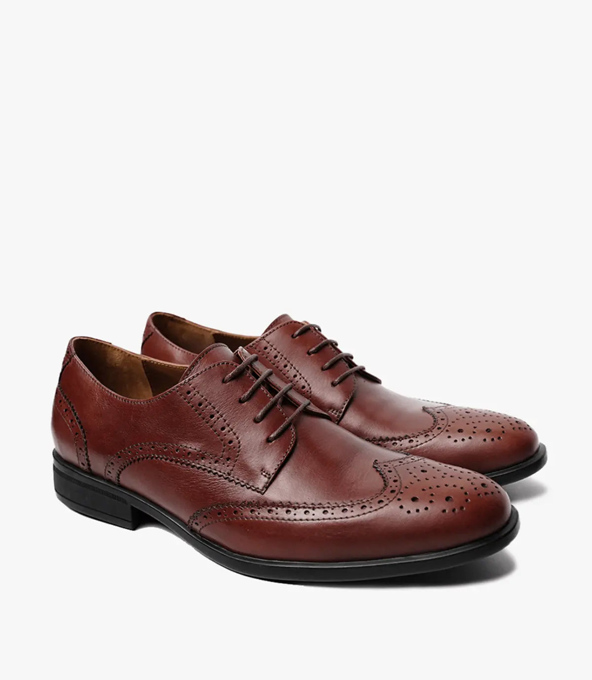 CAVALIER en Cuir, Marron -CL307 Celeno